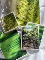 chipinque print