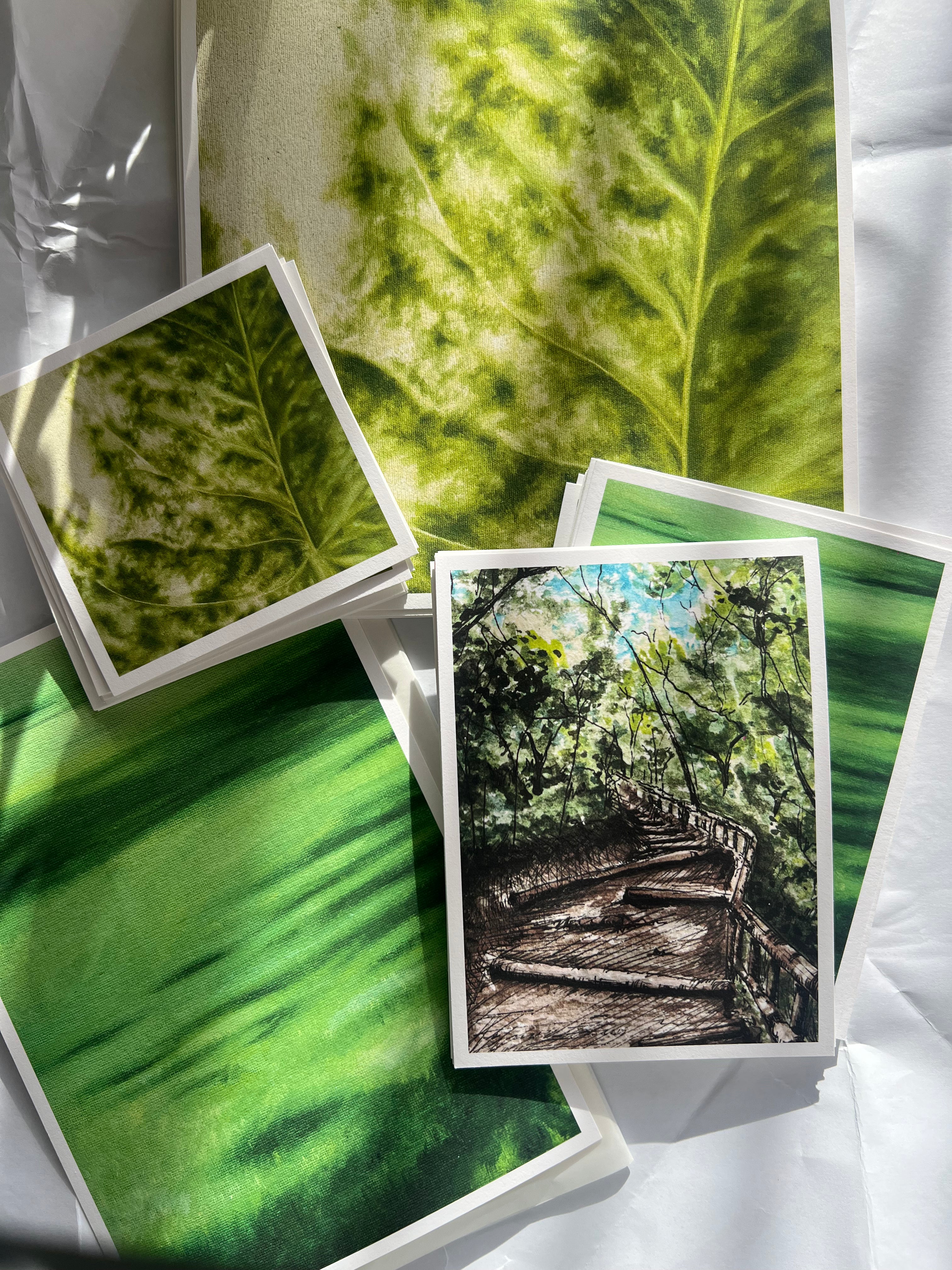 chipinque print