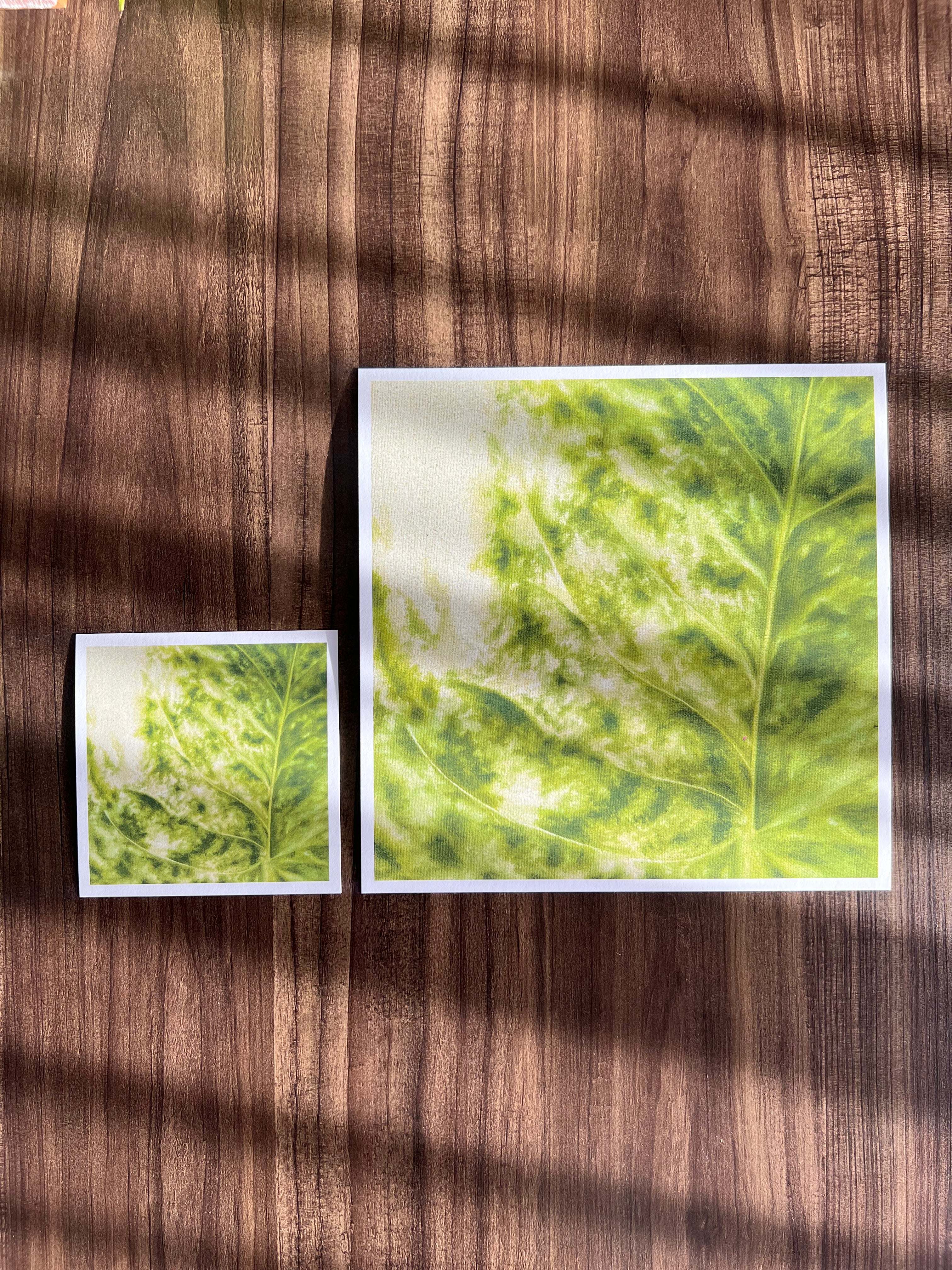 hoja de julieta print