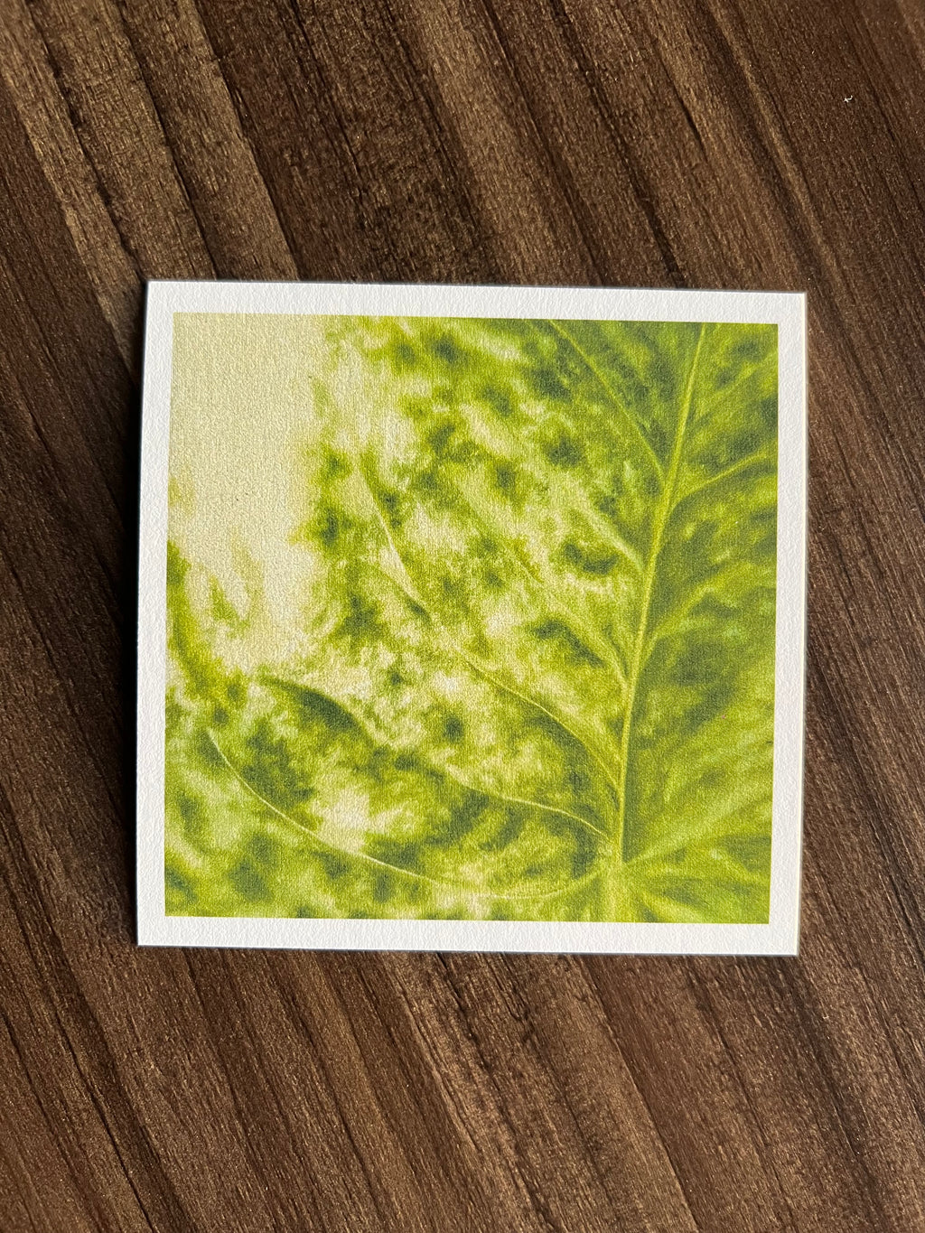 hoja de julieta print