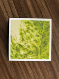 hoja de julieta print