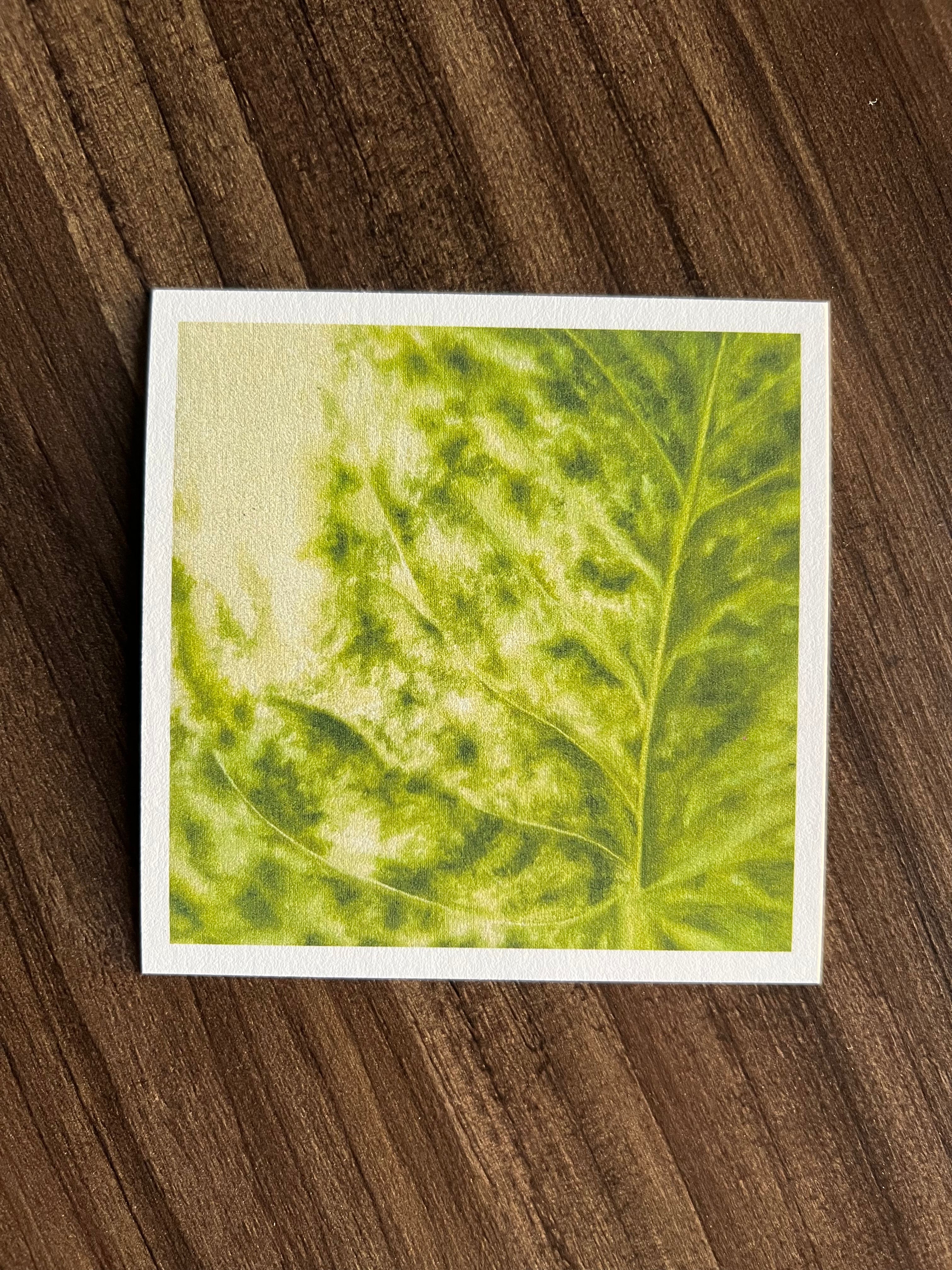 hoja de julieta print