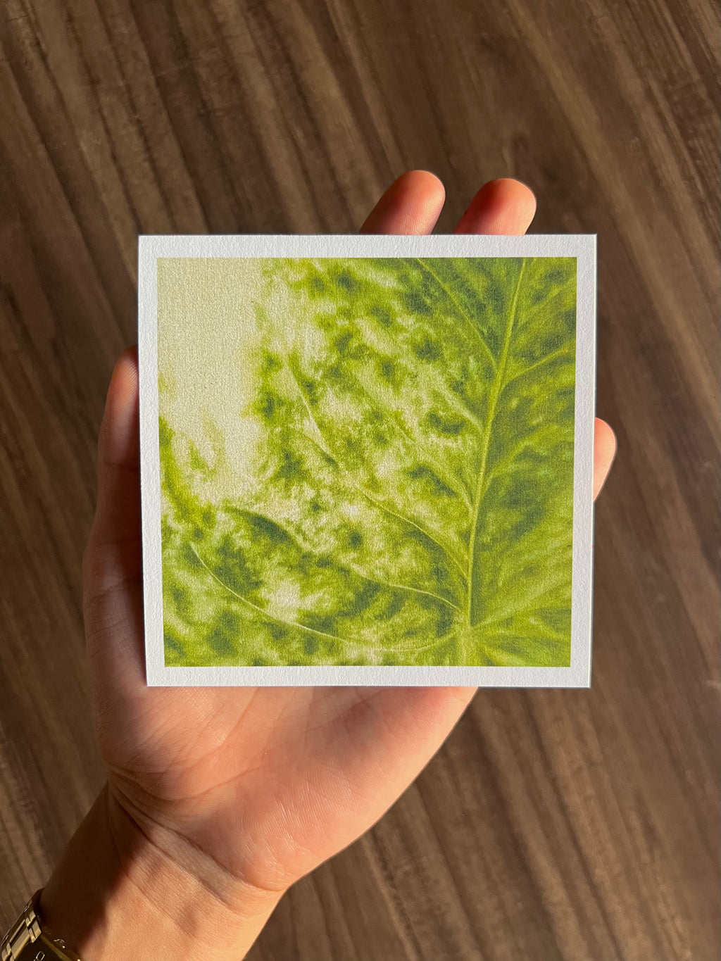 hoja de julieta print