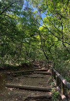 Escaleras de chipinque