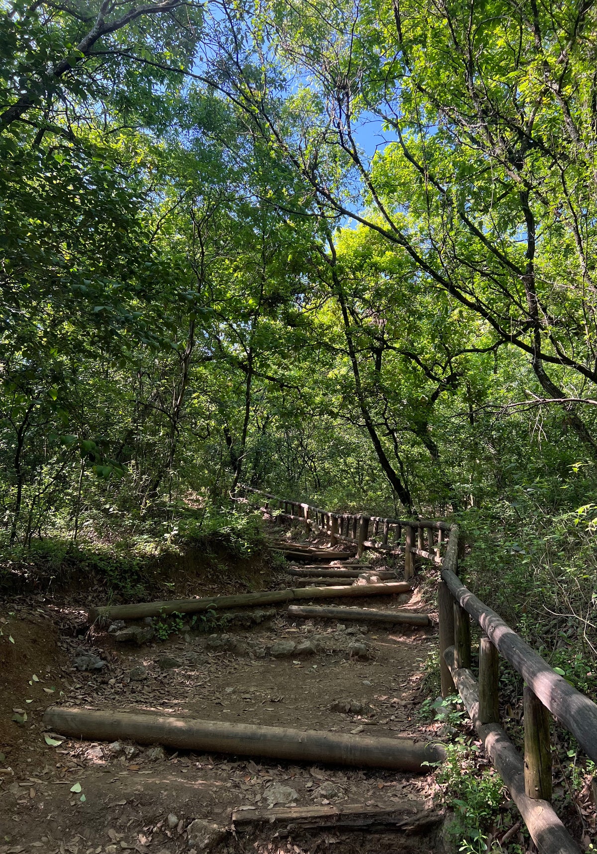 Escaleras de chipinque