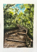 Escaleras de chipinque