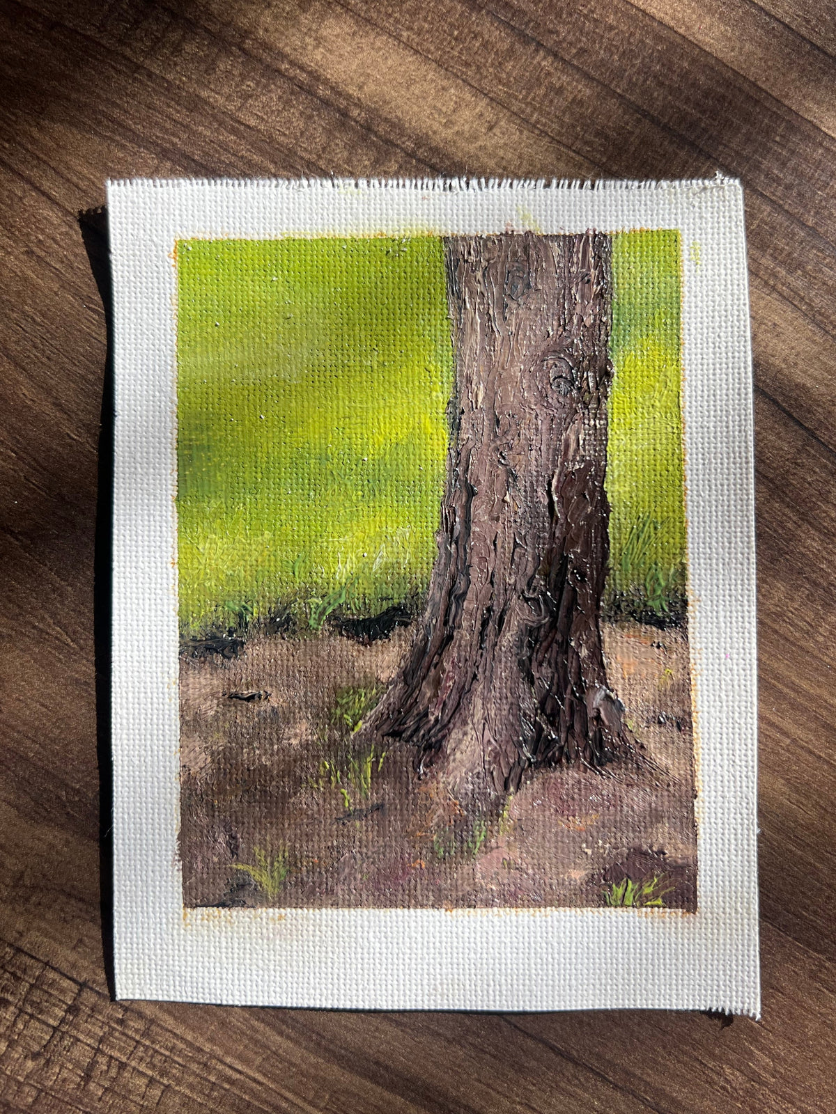 Arbol del parque