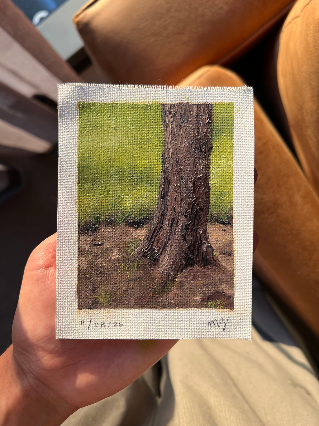 Arbol del parque