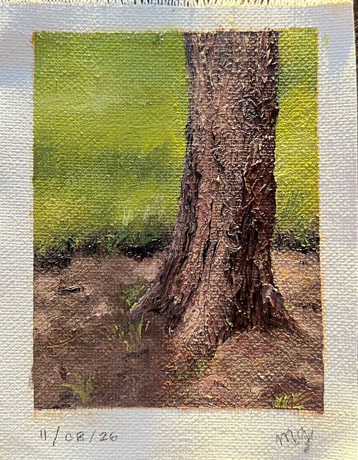Arbol del parque