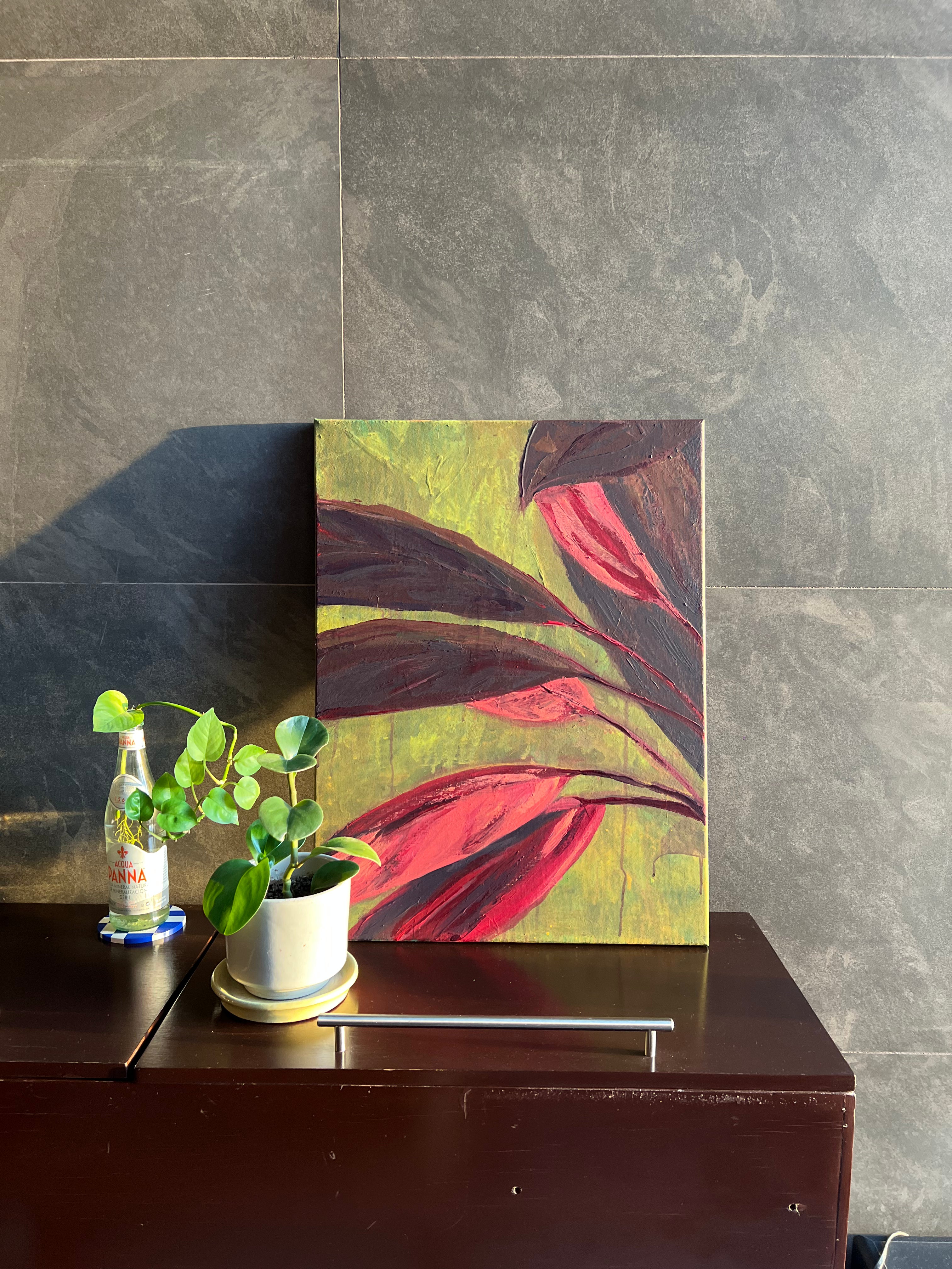 Cordyline